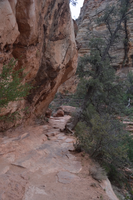 On the Canyon Overlook Trail